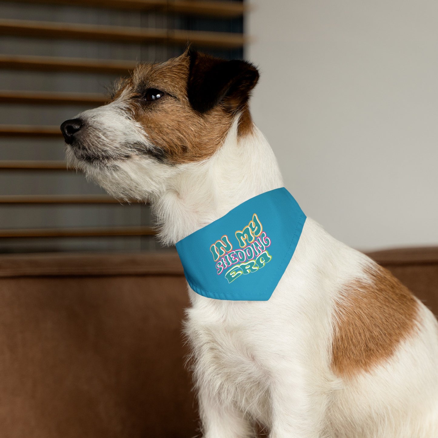 In My Shedding Era Pet Bandana Collar