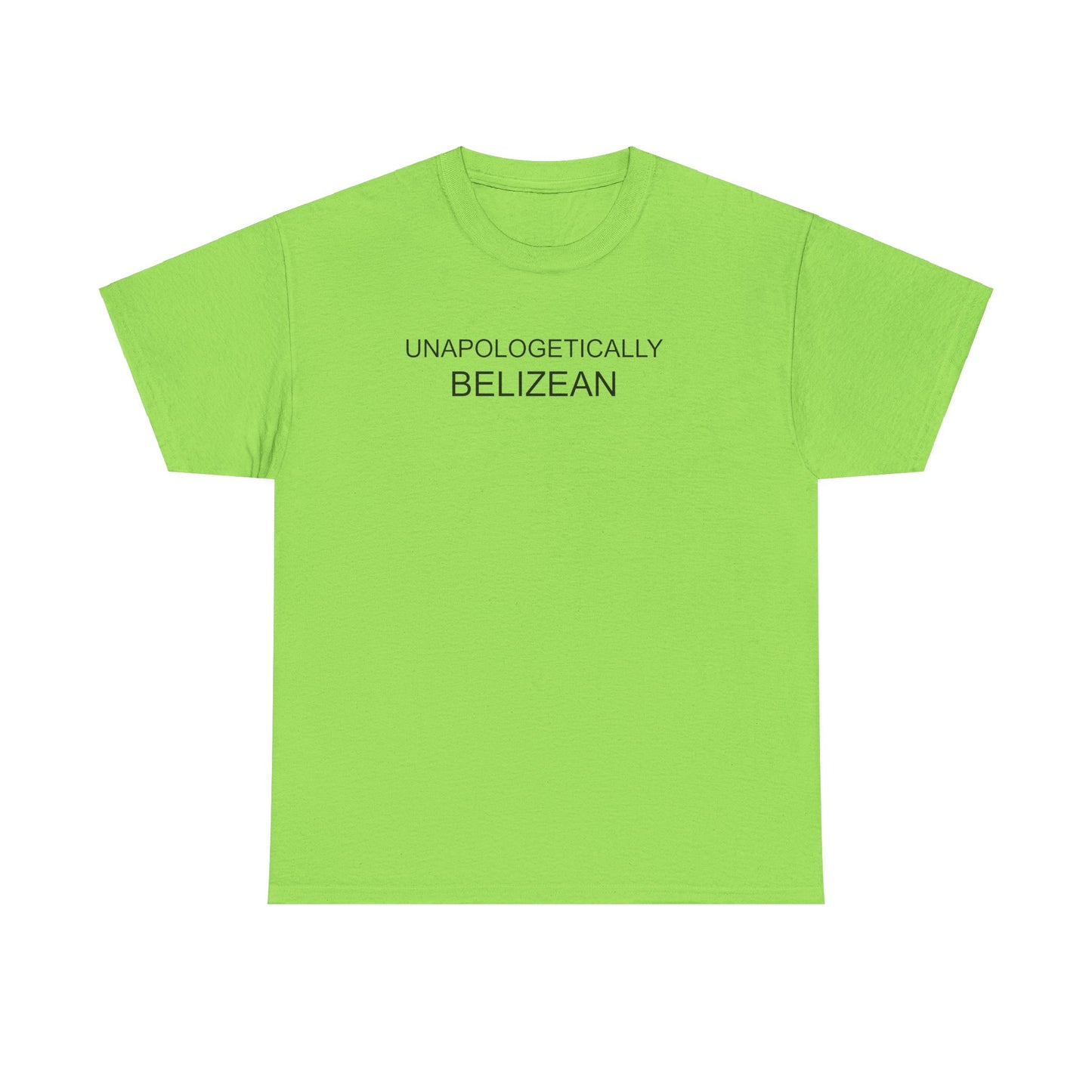 Unapologetic Unisex Heavy Cotton Tee