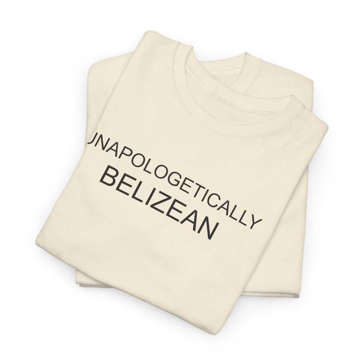 Unapologetic Unisex Heavy Cotton Tee