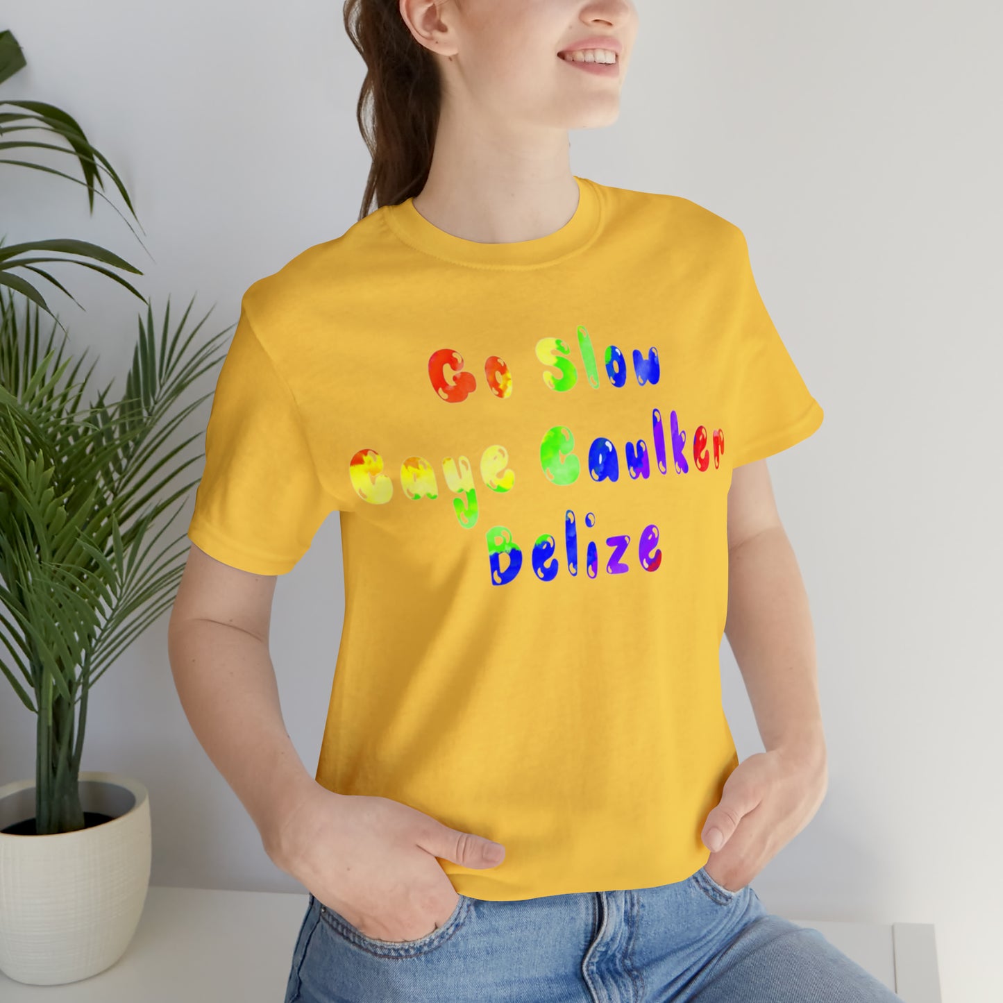 Go Slow Rainbow Unisex Jersey Short Sleeve Tee