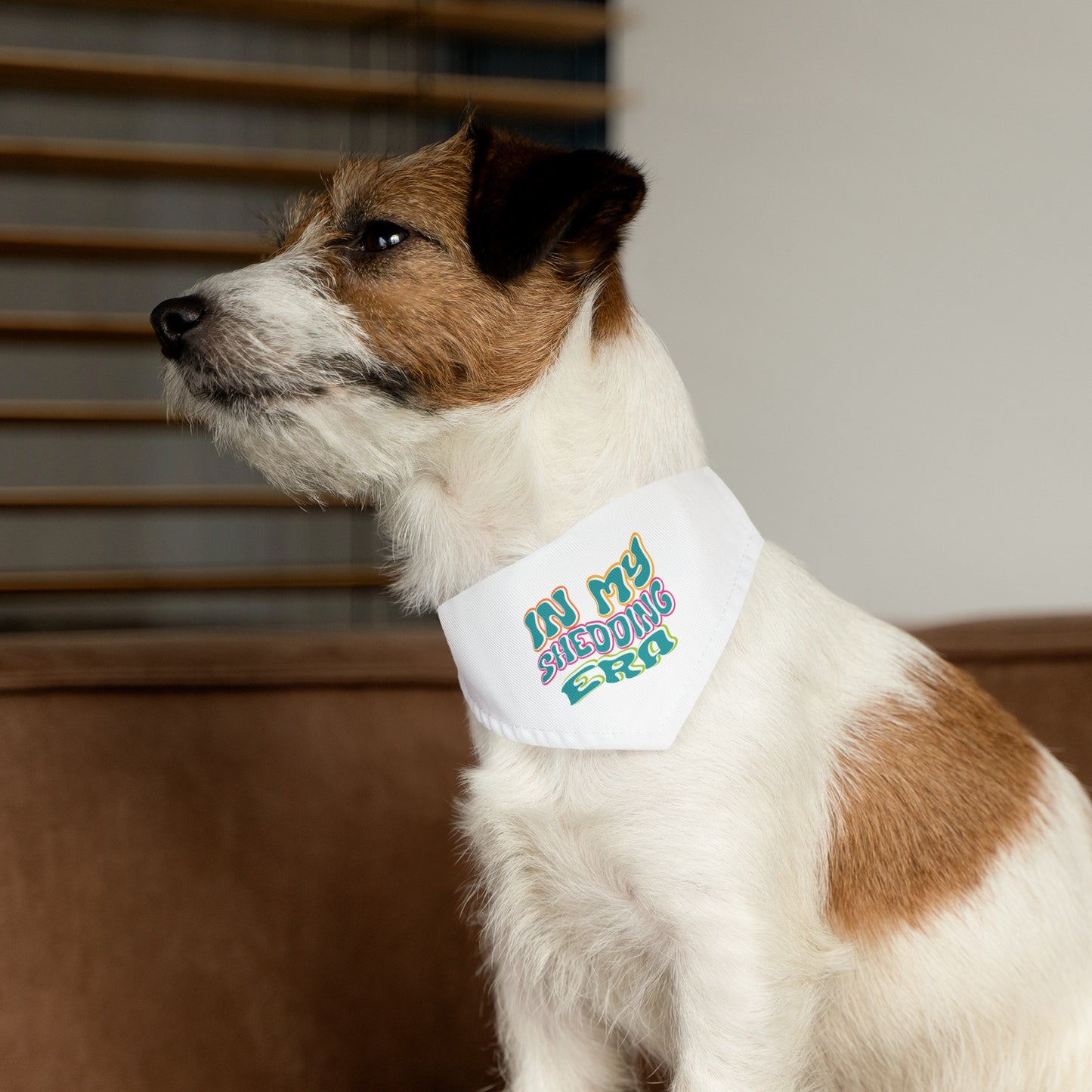 In My Shedding Era Pet Bandana Collar