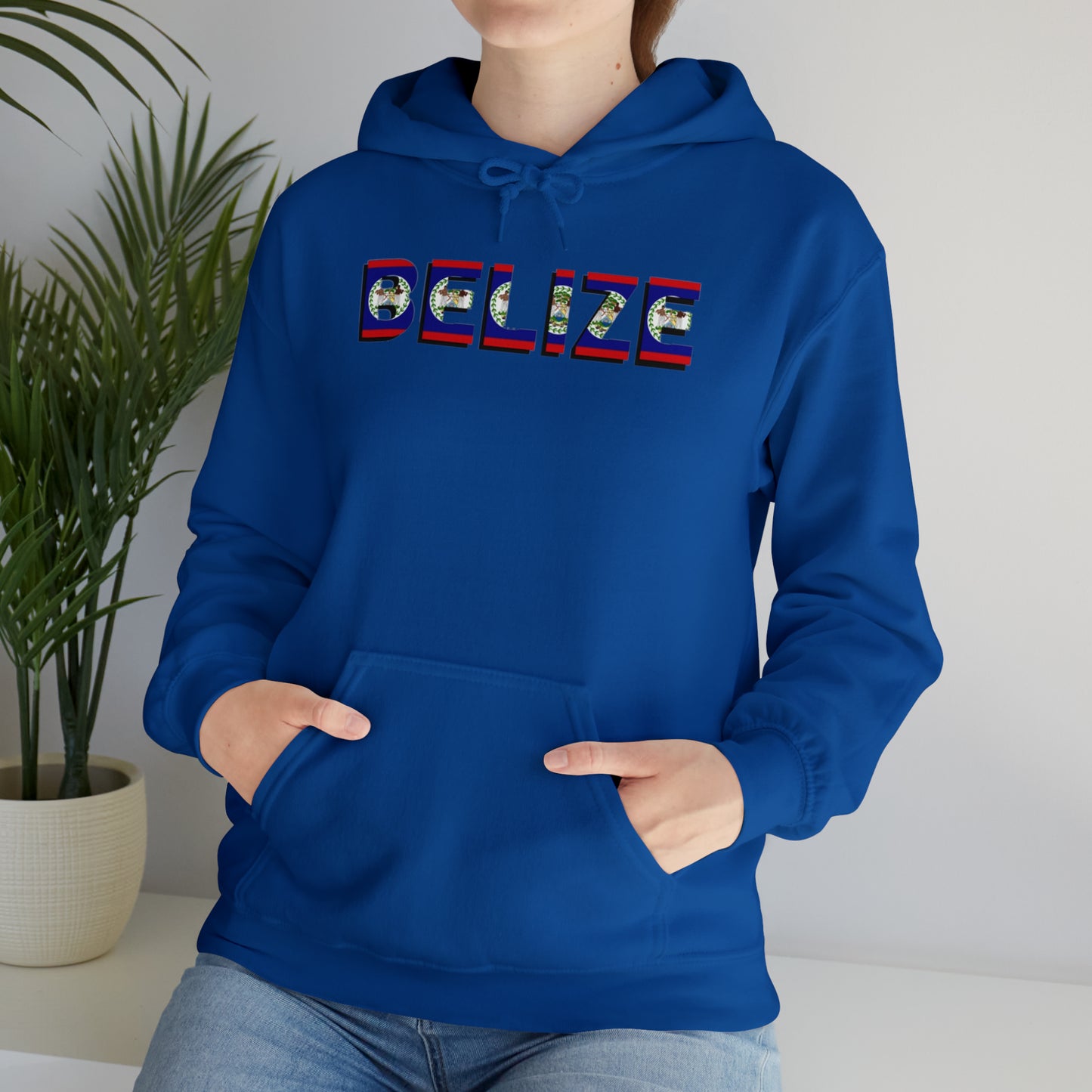 Belize flag Unisex Heavy Blend™ Hooded Sweatshirt