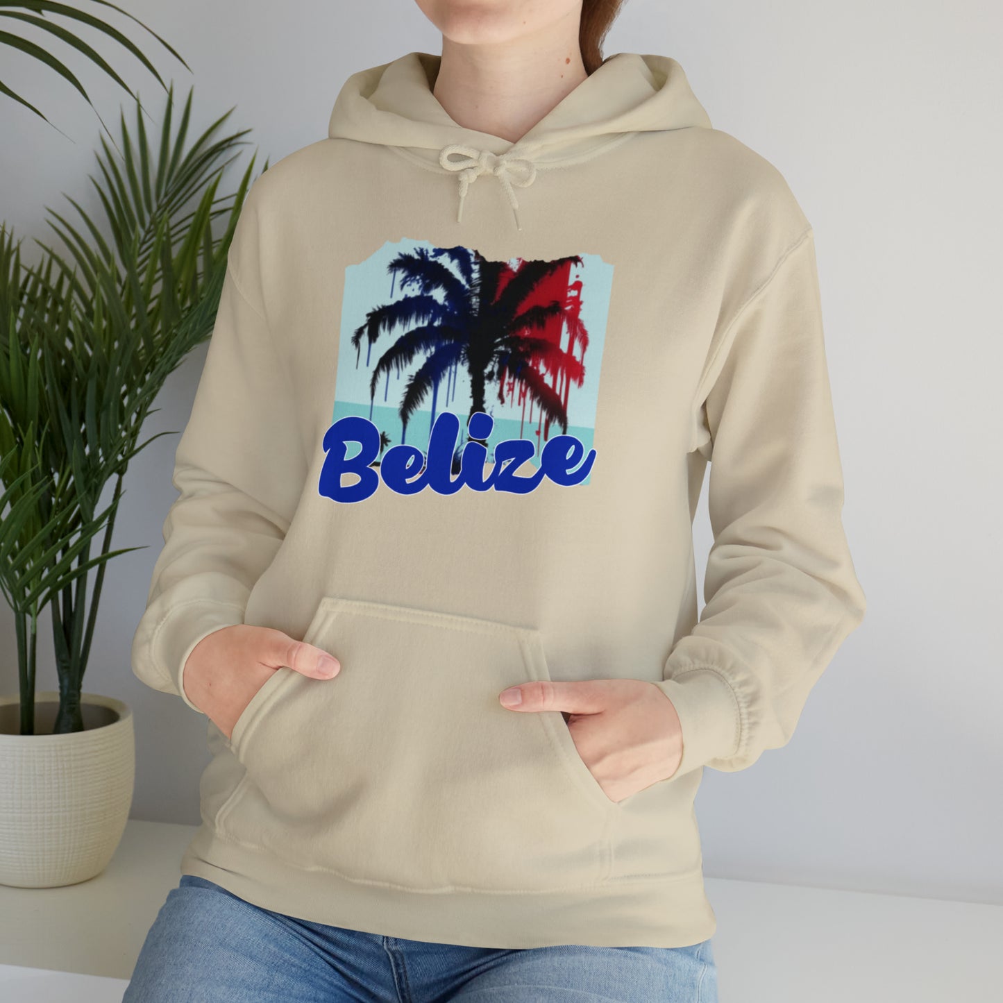 Belize Unisex Heavy Blend™ Hooded Sweatshirt