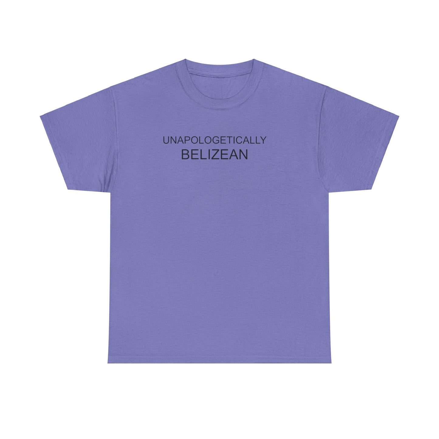 Unapologetic Unisex Heavy Cotton Tee