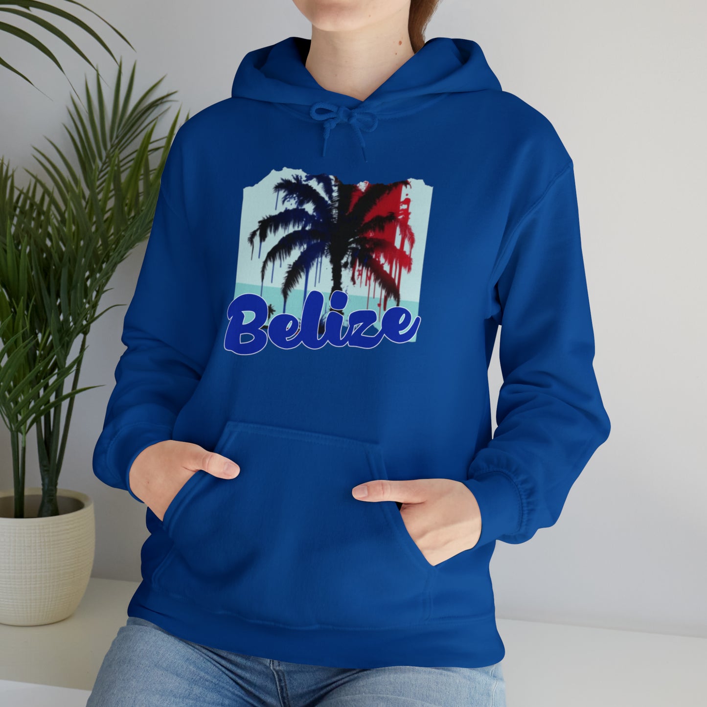 Belize Unisex Heavy Blend™ Hooded Sweatshirt