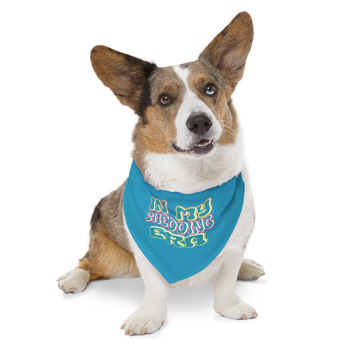 In My Shedding Era Pet Bandana Collar