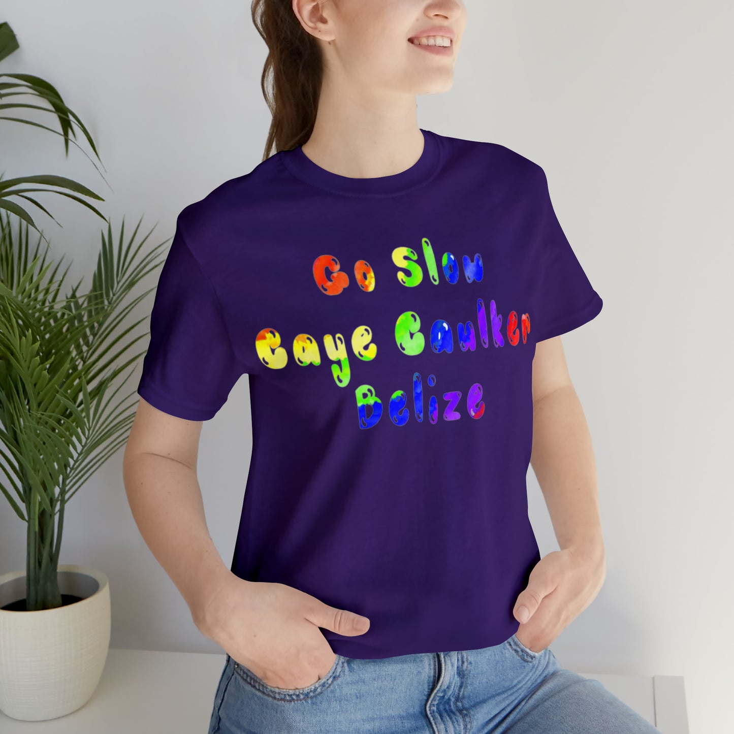 Go Slow Rainbow Unisex Jersey Short Sleeve Tee