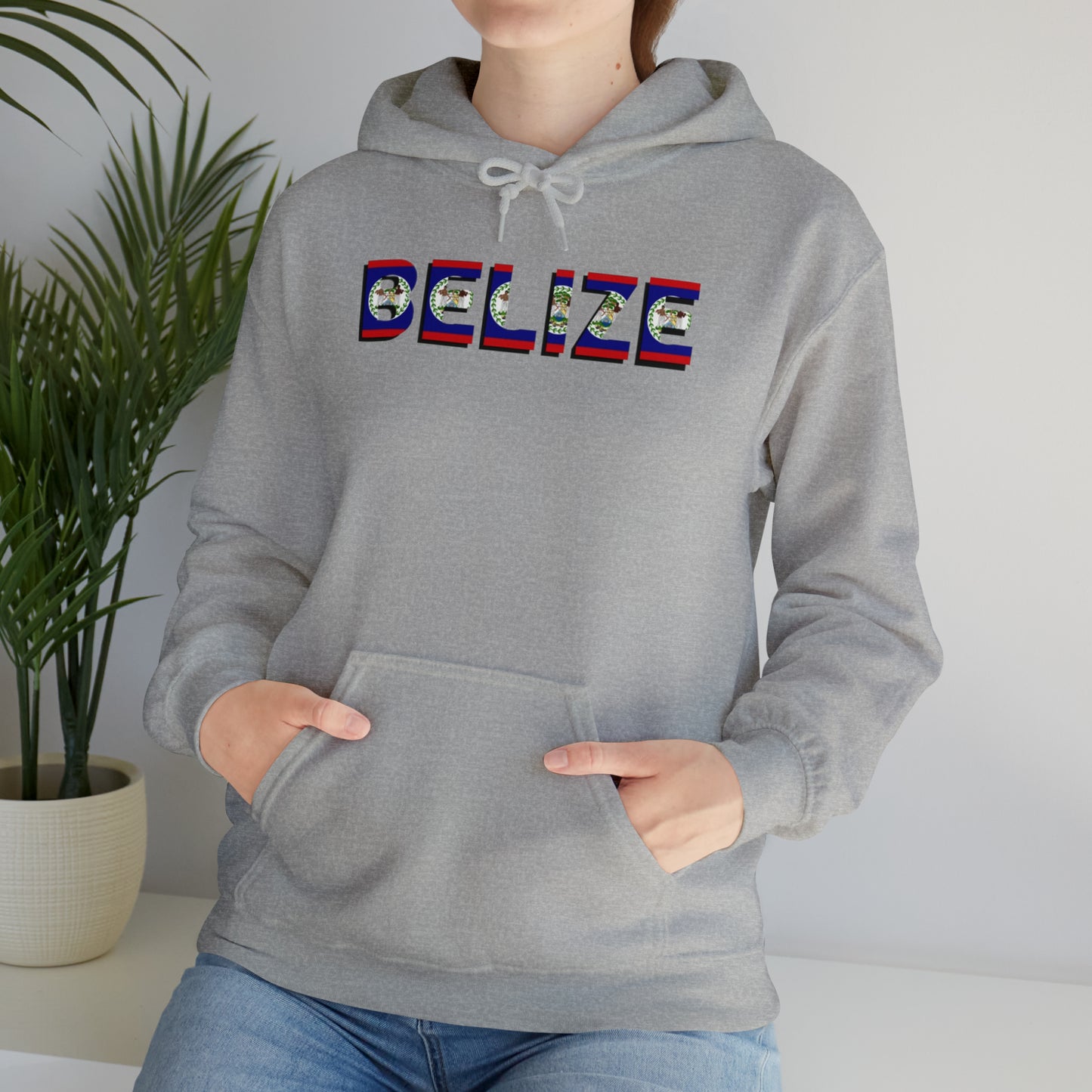 Belize flag Unisex Heavy Blend™ Hooded Sweatshirt