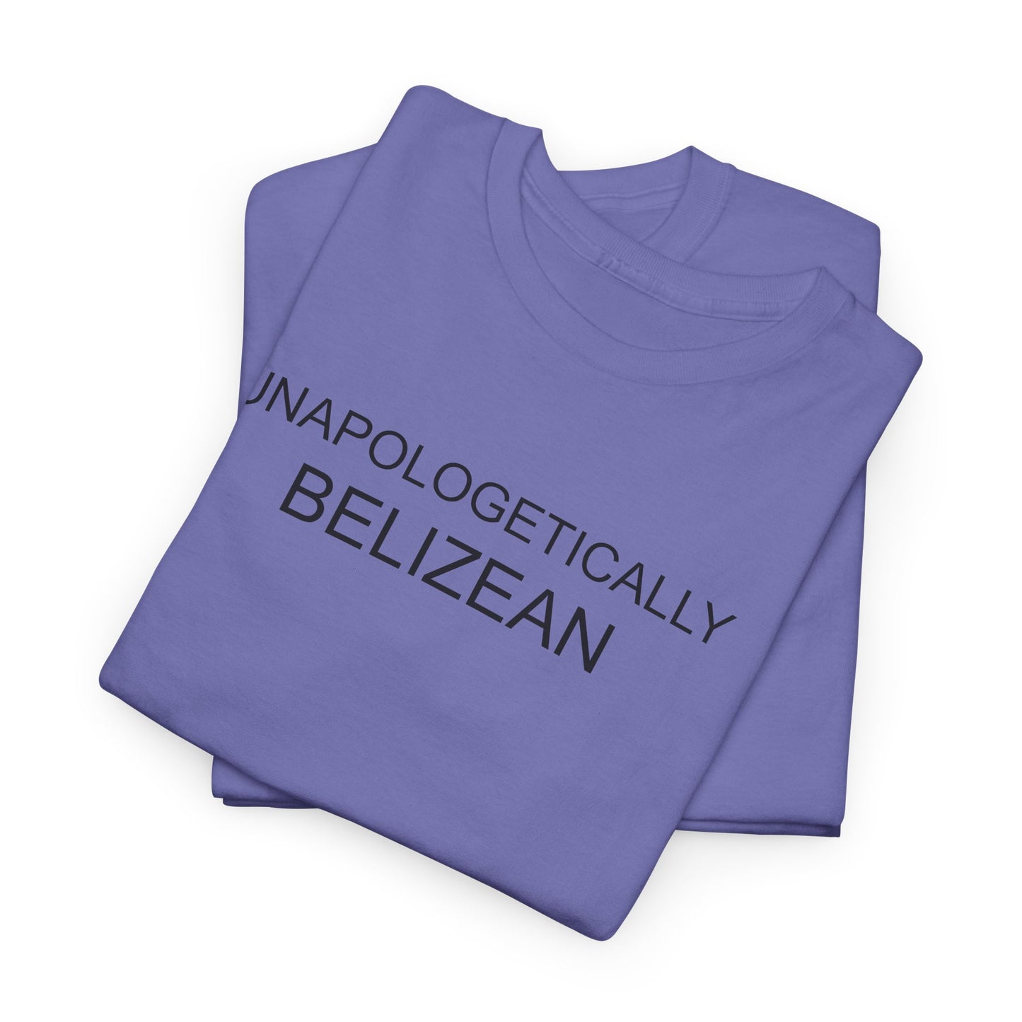 Unapologetic Unisex Heavy Cotton Tee