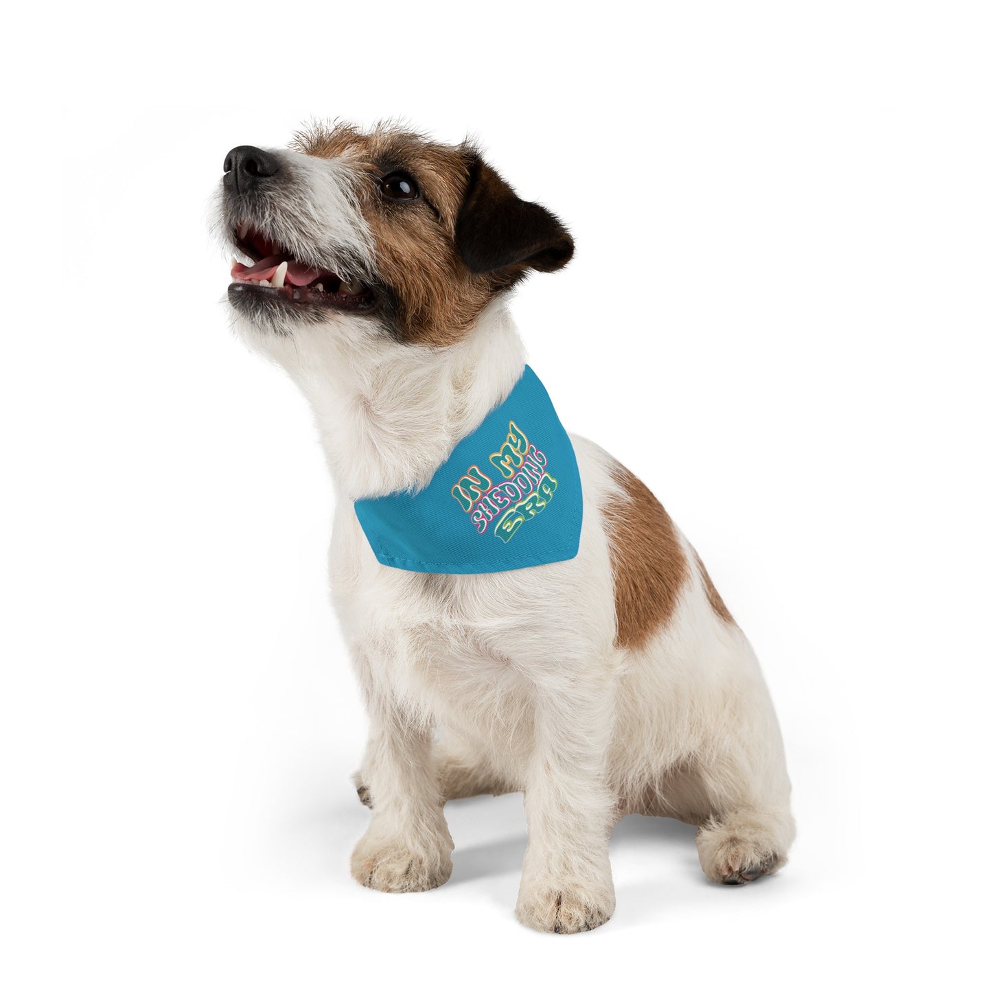 In My Shedding Era Pet Bandana Collar