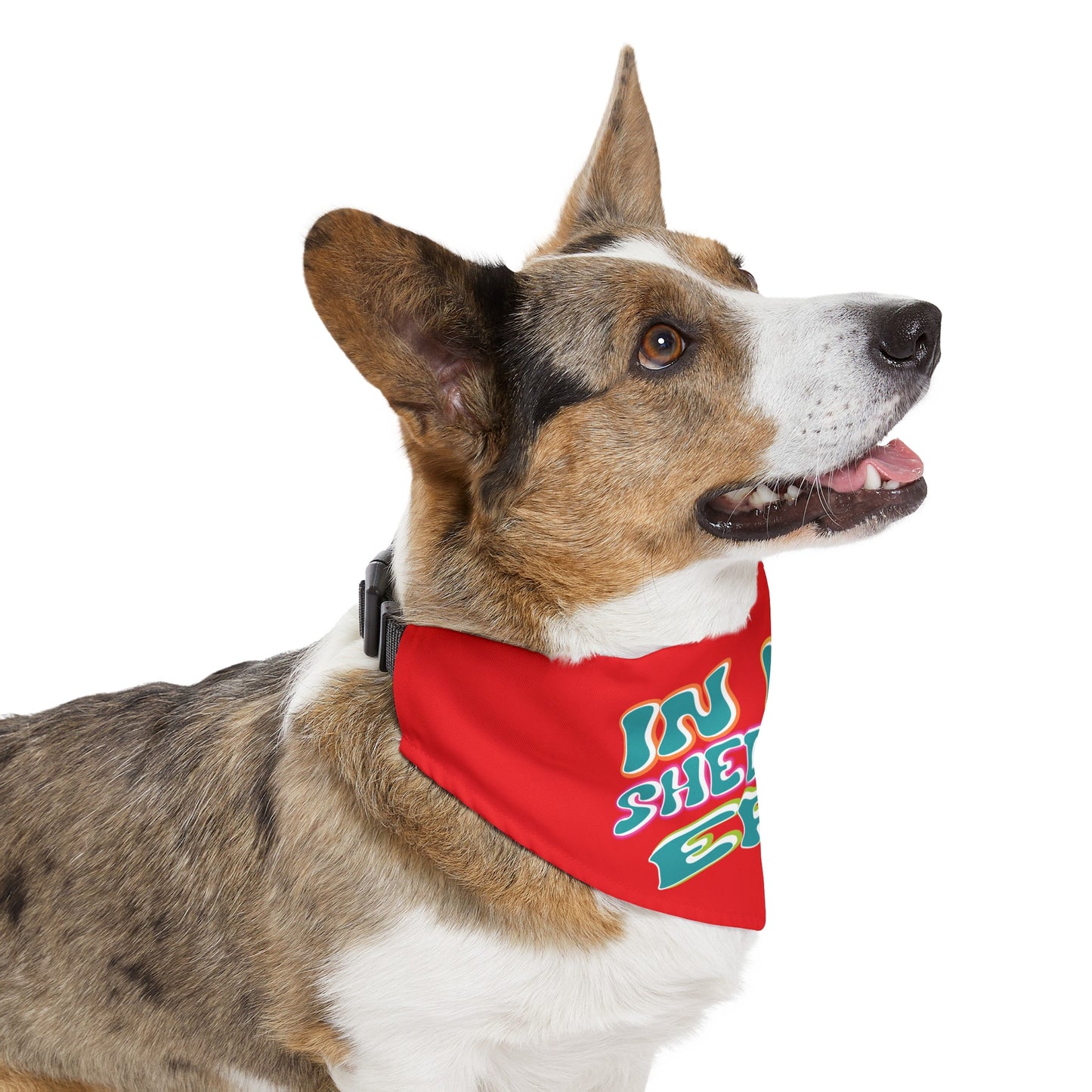 In My Shedding Era Pet Bandana Collar