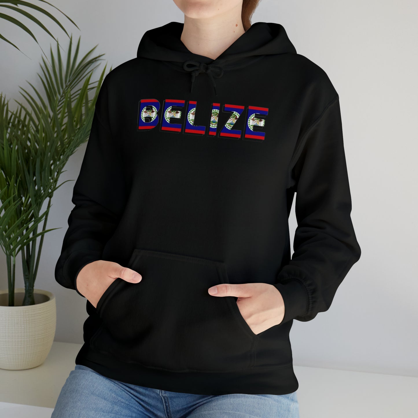 Belize flag Unisex Heavy Blend™ Hooded Sweatshirt