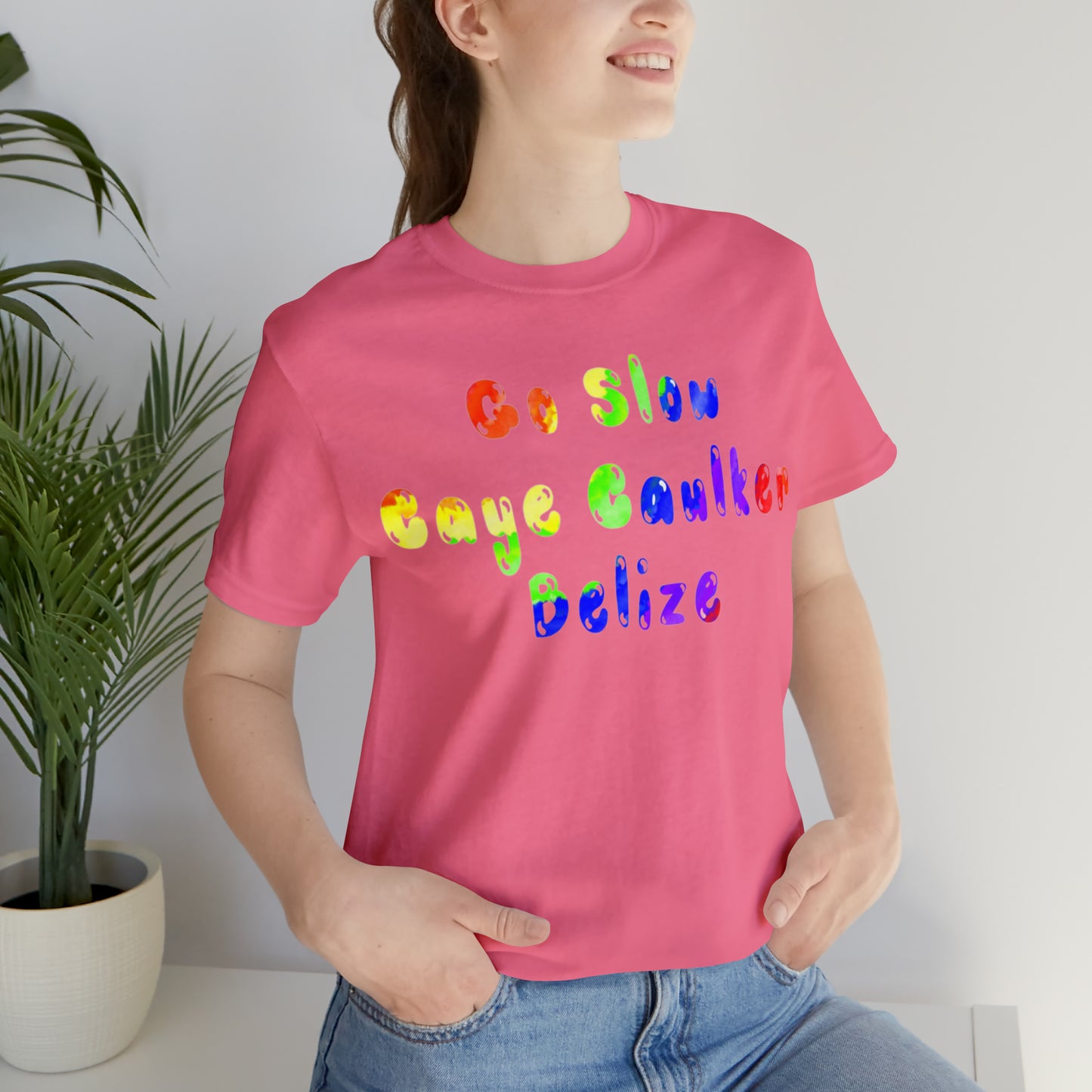Go Slow Rainbow Unisex Jersey Short Sleeve Tee