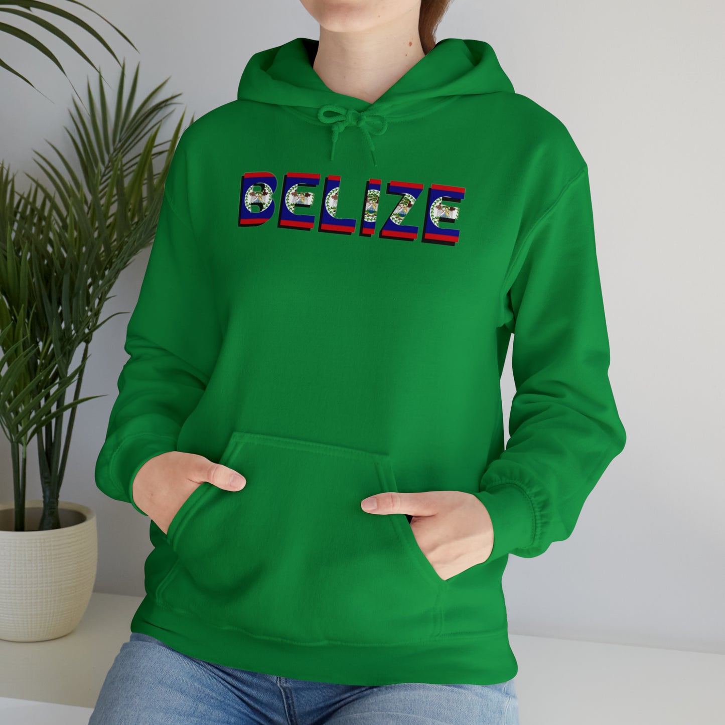 Belize flag Unisex Heavy Blend™ Hooded Sweatshirt