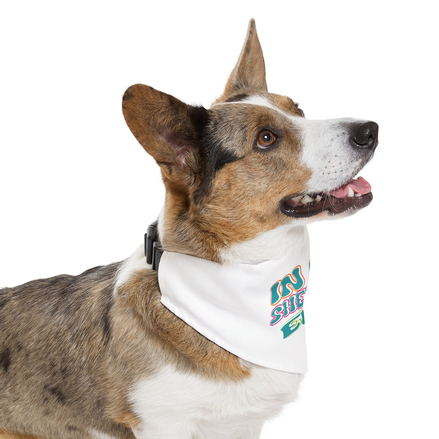 In My Shedding Era Pet Bandana Collar